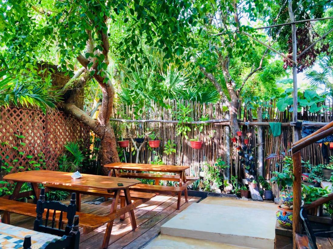Hostal Holbox Екстер'єр фото