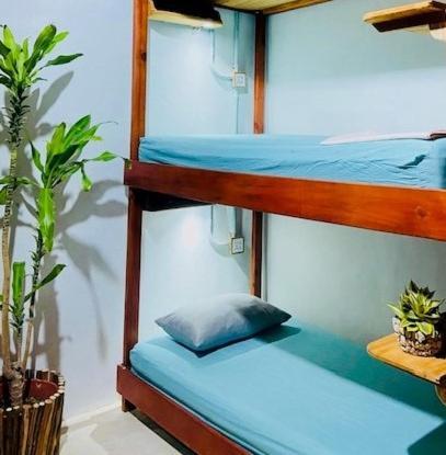 Hostal Holbox Екстер'єр фото